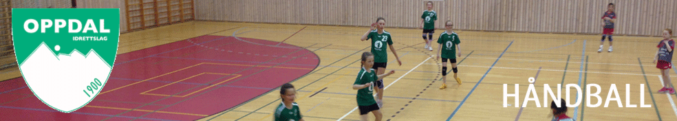 Oppdal IL - Håndball